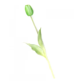 Gumi Tulipán szálas 40 cm - Zöld
