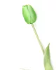 Gumi Tulipán szálas 40 cm - Zöld