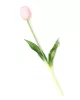 Gumi Tulipán szálas 40 cm - Rózsaszín