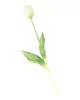 Gumi Tulipán szálas 40 cm - Fehér