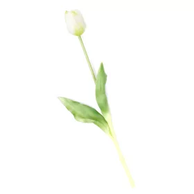 Gumi Tulipán szálas 40 cm - Fehér
