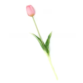 Gumi Tulipán szálas 40 cm - Mályva
