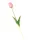 Gumi Tulipán szálas 40 cm - Mályva
