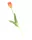 Gumi Tulipán szálas 40 cm - Narancssárga