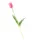 Gumi Tulipán szálas 40 cm - Pink