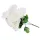  Krizantém csokor 7 fejes – 50 cm fehér