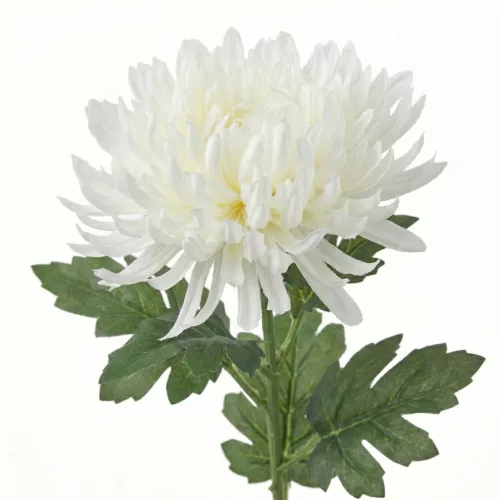 Krizantém művirág 69 cm