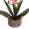 Elegáns fehér orchidea kerámiakaspóban – 1 szálas, 3 virágfüzéres művirág dekoráció  50 cm