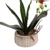 Elegáns rózsaszín pöttyös orchidea kerámiakaspóban – 1 szálas, 3 virágfüzéres művirág dekoráció 50 cm