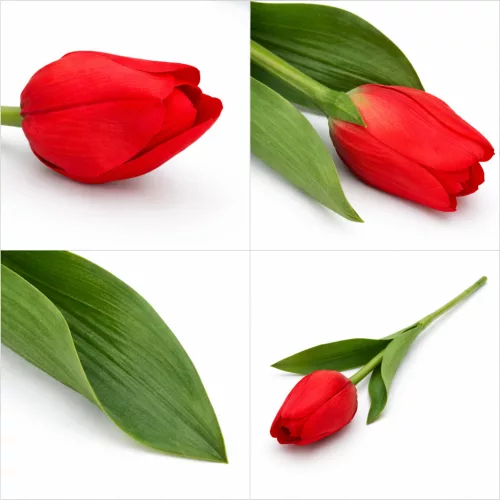 62 cm-es Piros Selyem Tulipán – Élethű Művirág Dekoráció Otthonra és Ajándékba