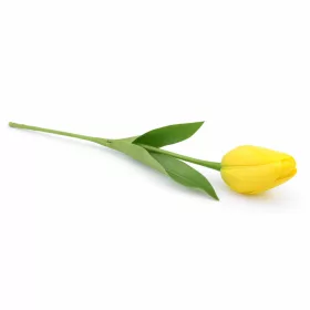   62 cm-es Élénksárga Selyem Tulipán – Élethű Hosszú Szárú Művirág Dekoráció