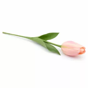   62 cm-es Pasztell Rózsaszín Selyem Tulipán – Élethű Hosszú Szárú Művirág Dekoráció
