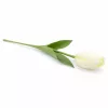 62 cm-es Krémfehér Selyem Tulipán – Élethű Hosszú Szárú Művirág Elegáns Dekorációhoz