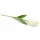 62 cm-es Krémfehér Selyem Tulipán – Élethű Hosszú Szárú Művirág Elegáns Dekorációhoz