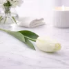62 cm-es Krémfehér Selyem Tulipán – Élethű Hosszú Szárú Művirág Elegáns Dekorációhoz