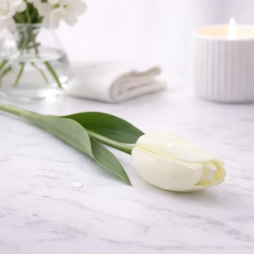 62 cm-es Krémfehér Selyem Tulipán – Élethű Hosszú Szárú Művirág Elegáns Dekorációhoz