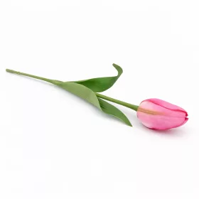   62 cm-es Élénk Rózsaszín Selyem Tulipán – Élethű Hosszú Szárú Művirág Dekoráció