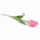62 cm-es Élénk Rózsaszín Selyem Tulipán – Élethű Hosszú Szárú Művirág Dekoráció