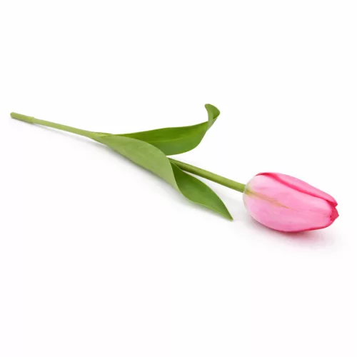62 cm-es Élénk Rózsaszín Selyem Tulipán – Élethű Hosszú Szárú Művirág Dekoráció