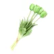 Gumi Tulipán csokor 5 szálas 40 cm - Zöld