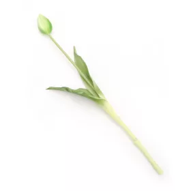 Gumi Tulipán szálas 39 cm - Zöld