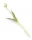Gumi Tulipán szálas 39 cm - Zöld