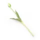 Gumi Tulipán szálas 39 cm - Zöld