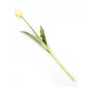 Gumi Tulipán szálas 39 cm - Fehér