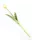 Gumi Tulipán szálas 39 cm - Fehér