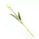 Gumi Tulipán szálas 39 cm - Fehér