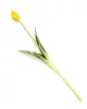 Gumi Tulipán szálas 39 cm - Sárga