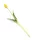 Gumi Tulipán szálas 39 cm - Sárga