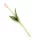 Gumi Tulipán szálas 39 cm - Mályva