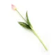 Gumi Tulipán szálas 39 cm - Mályva