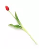 Gumi Tulipán szálas 39 cm - Piros