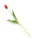 Gumi Tulipán szálas 39 cm - Piros