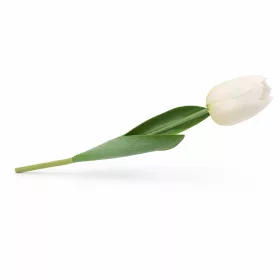   Prémium 56 cm-es fehér műtulipán – vastag, stabil szilikon gumi dekor virág otthonra és rendezvényre