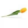 Prémium 56 cm-es sárga műtulipán – vastag, stabil szilikon gumi dekor virág otthonra és rendezvényekre