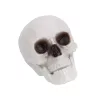 Halloween dekor koponya – 12 cm, élethű koponya dísz
