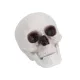 Halloween dekor koponya – 12 cm, élethű koponya dísz