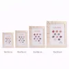 Elegáns képkeret 19×24 cm – 15×20 cm fotóhoz, arany csíkos díszítéssel