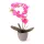 Mű Orchidea 2 szálasz kerámia virágtartóban 52 cm - pink