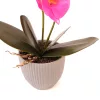 Mű Orchidea 2 szálasz kerámia virágtartóban 52 cm - pink