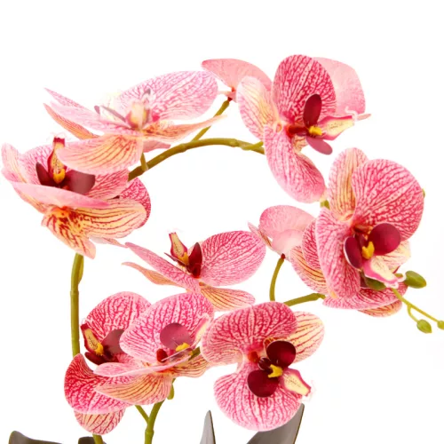 Mű Orchidea 2 szálasz kerámia virágtartóban 52 cm - vörös