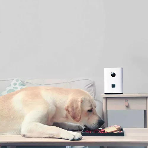 Xiaomi Pawbby Kutyakamera és jutalomfalat adagoló (MG-PSM001EU)